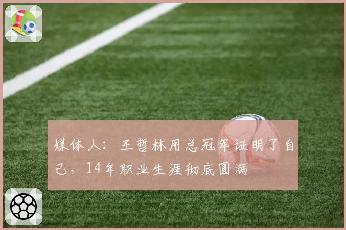 媒体人:王哲林用总冠军证明了自己,14年职业生涯彻底圆满