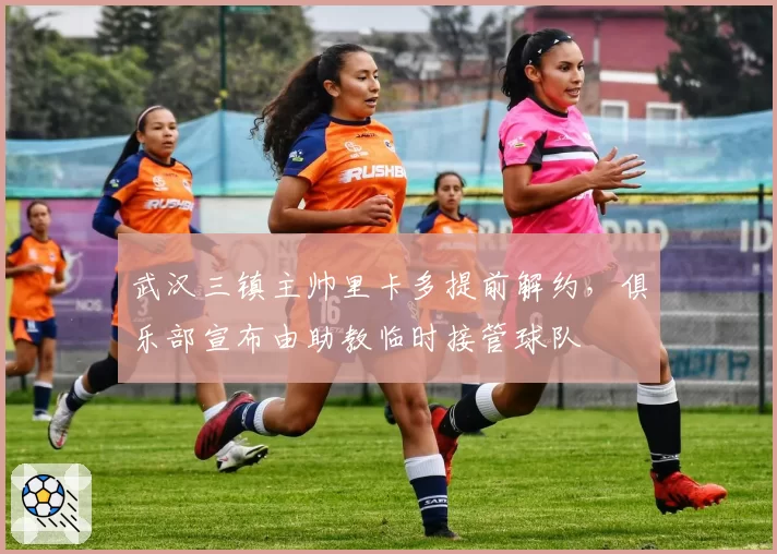武汉三镇主帅里卡多提前解约,俱乐部宣布由助教临时接管球队