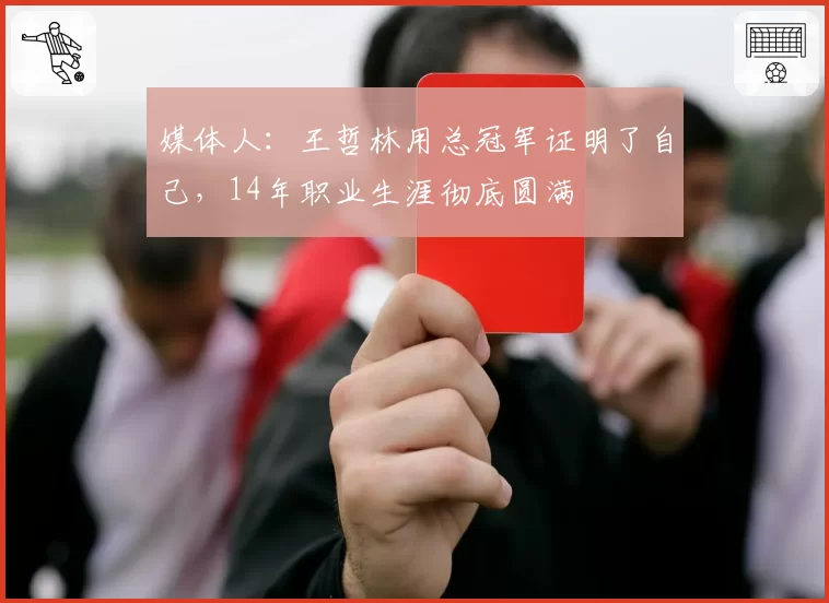 媒体人:王哲林用总冠军证明了自己,14年职业生涯彻底圆满