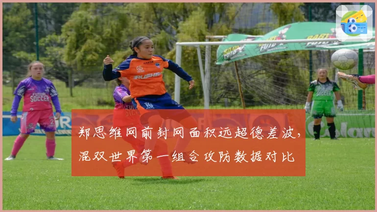 郑思维网前封网面积远超德差波,混双世界第一组合攻防数据对比