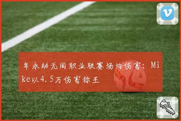 年永劫无间职业联赛场均伤害:Mike以4.5万伤害称王